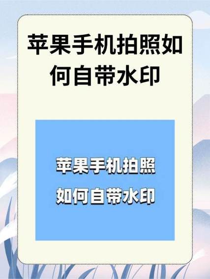 如何将苹果6手机的照片导入苹果XR手机