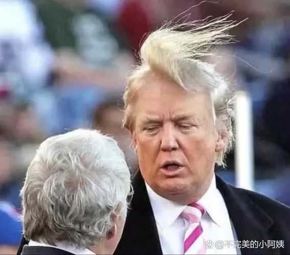 特朗普称聪明人不喜欢我 议员笑了
