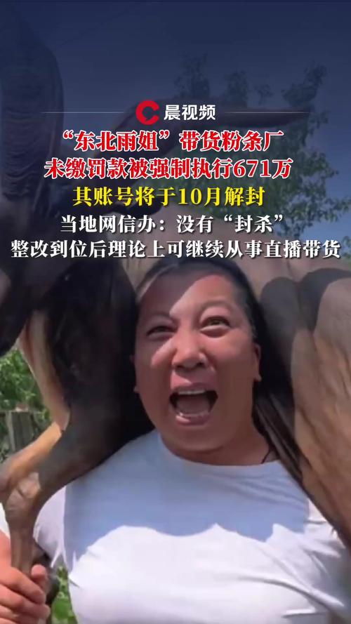 东北雨姐带货粉条厂被执行671万