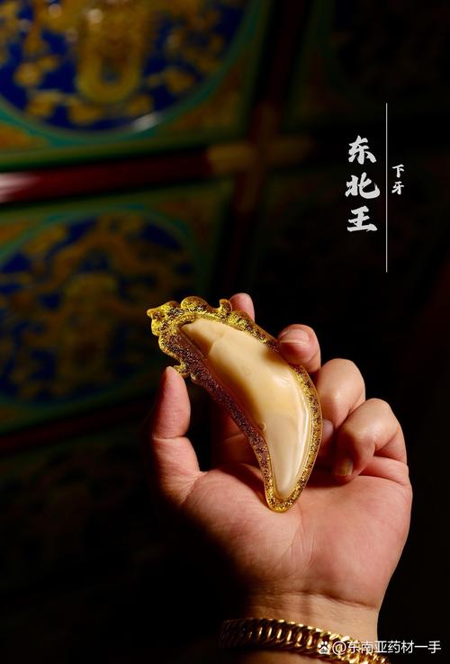 牙齿文身风靡齿科：牙冠刻印“发财”