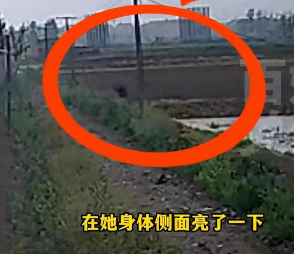 女子拍闪电意外拍到不明黑影