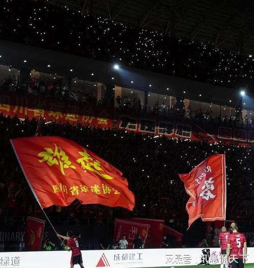 蓉城1-2被蔚山逆转 无缘亚冠开门红