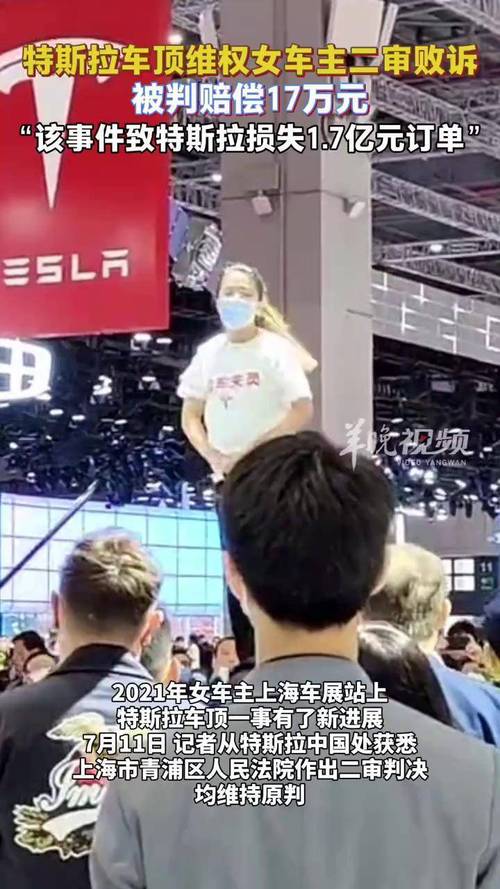 特斯拉“车顶维权”车主数据案胜诉
