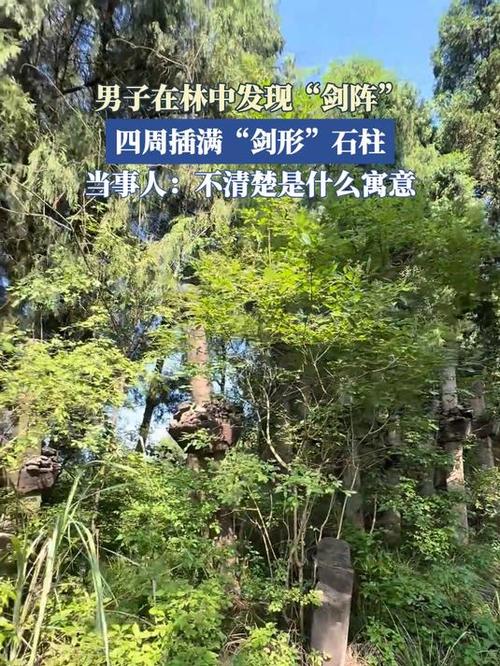 男子在林中发现“剑阵”