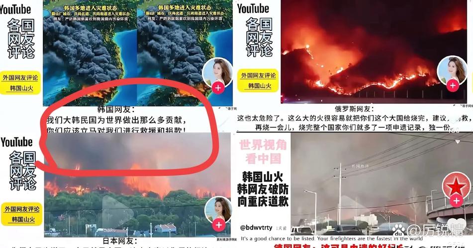 网友侮辱虚拟偶像被判赔10万韩元