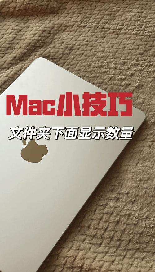 苹果电脑如何查看文件