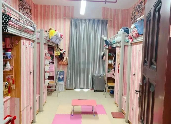 猴子下山“造访”贵州大学一宿舍