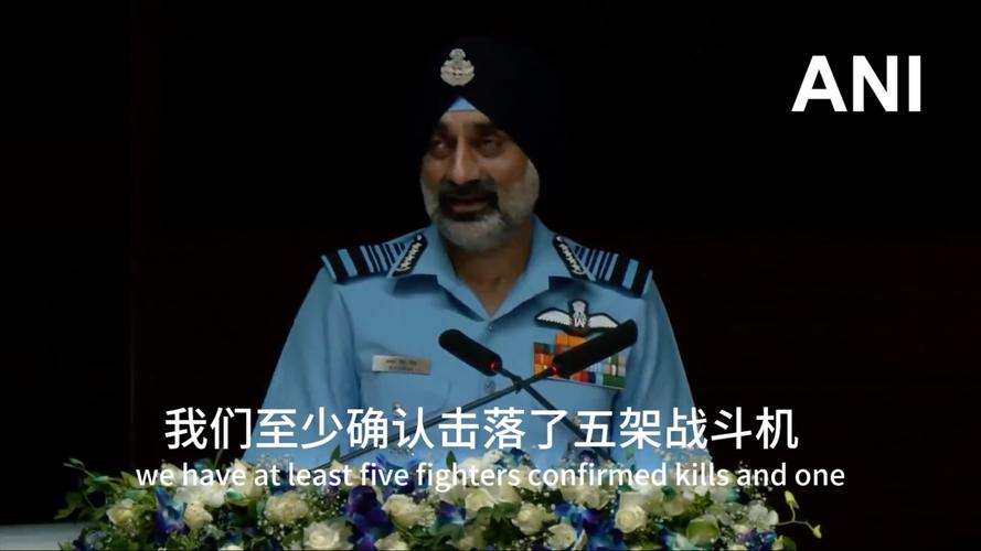 印空军参谋长:我们给世界上了一课