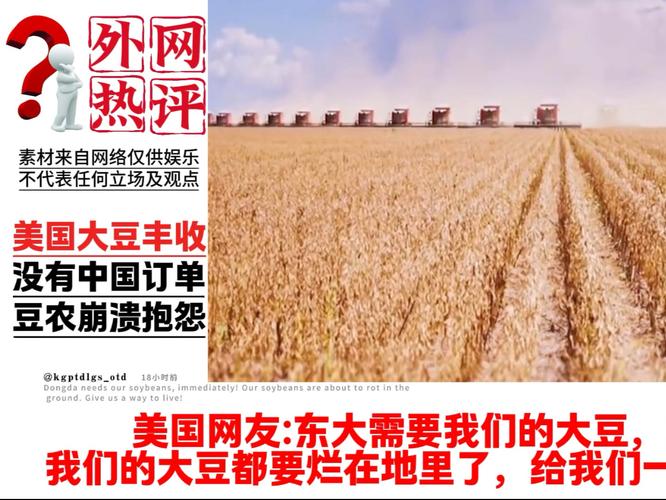美国大豆中国订单量仍为零