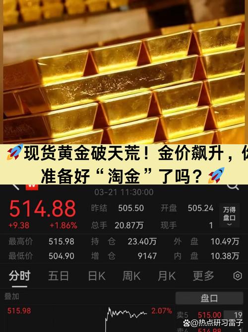 金价飙升 有非法淘金人井下生活两年