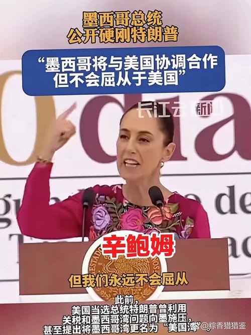 加拿大墨西哥寻求绕过美“关税墙”