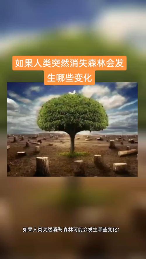 中国消失的森林正“全盘复活”
