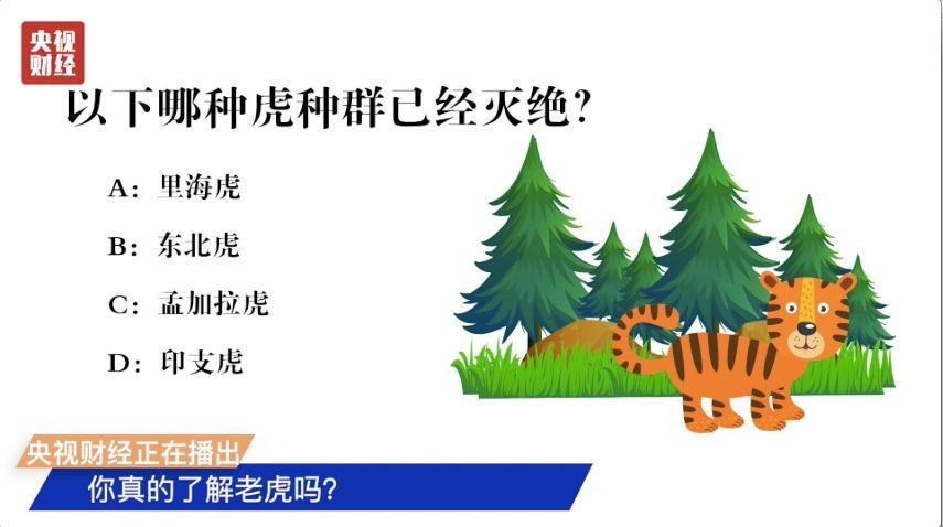 中国消失的森林正“全盘复活”