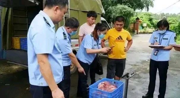 女子花10万云养猪生重病难退钱