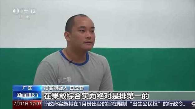 缅北白家犯罪集团主案一审开庭