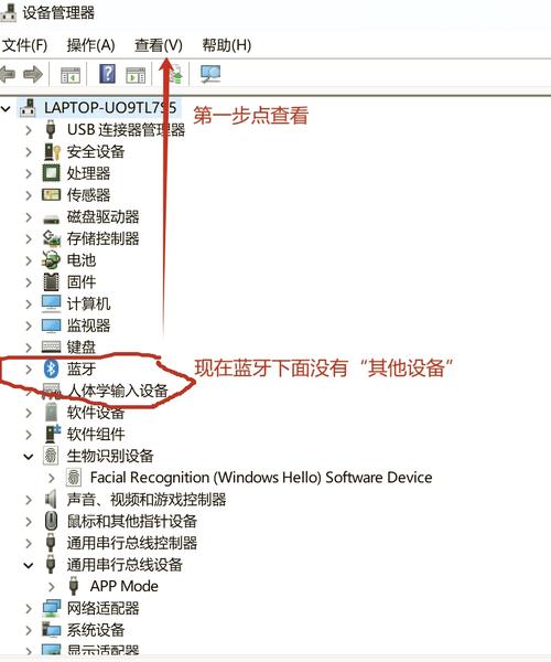 电脑如何查看网络连接
