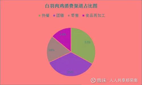 中国每年吃掉约70亿只白羽肉鸡