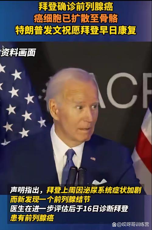 哈里斯称后悔没阻止拜登再次参选