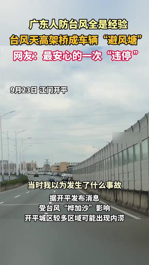 为避台风 小区近百辆车停上大桥