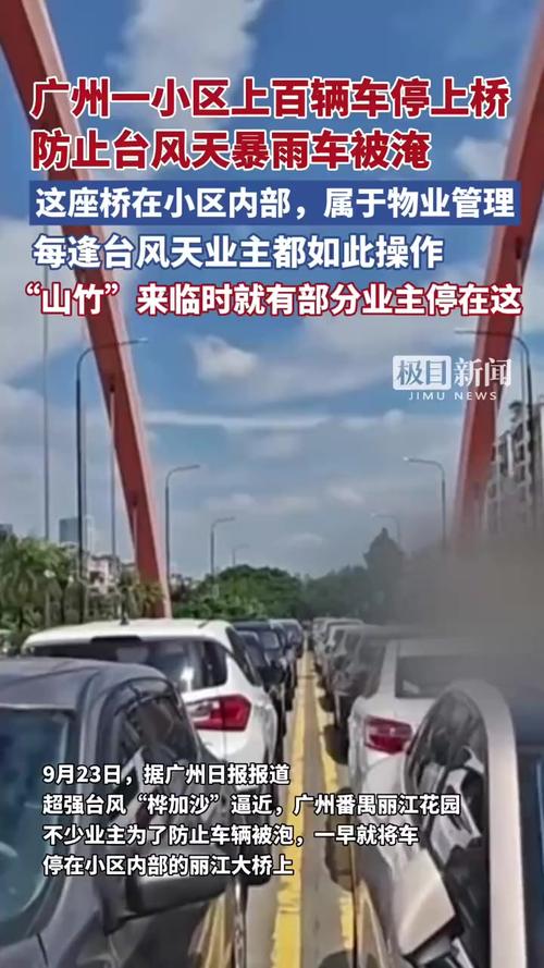 为避台风 小区近百辆车停上大桥