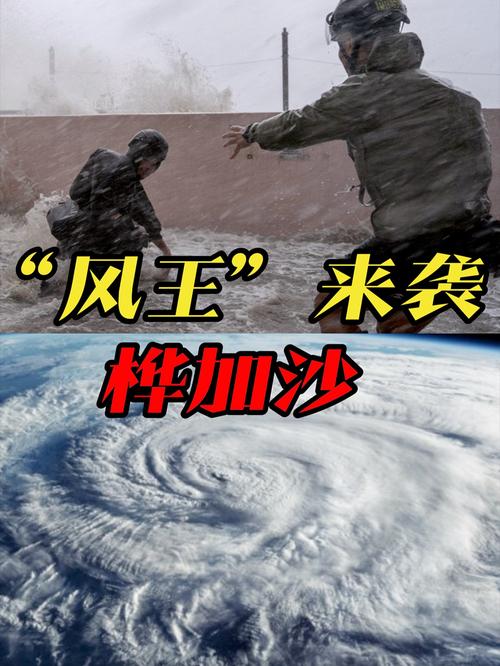 桦加沙登陆现场：巨浪翻涌风声大作