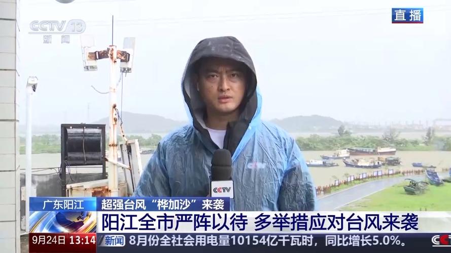 桦加沙狂袭阳江 湖面翻腾树木狂舞