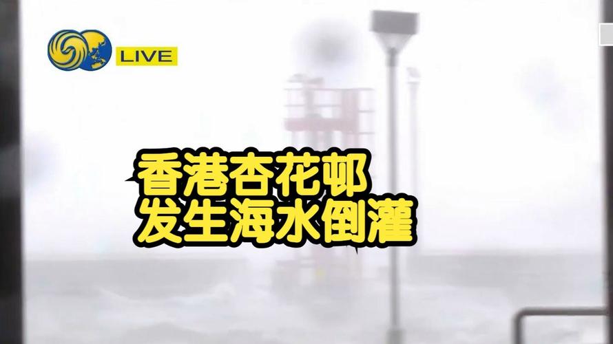 桦加沙狂袭阳江 湖面翻腾树木狂舞