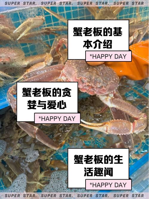验蟹师年收入10万至30万元