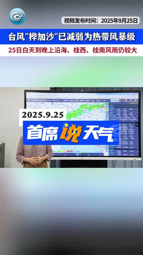 桦加沙已减弱为热带风暴级