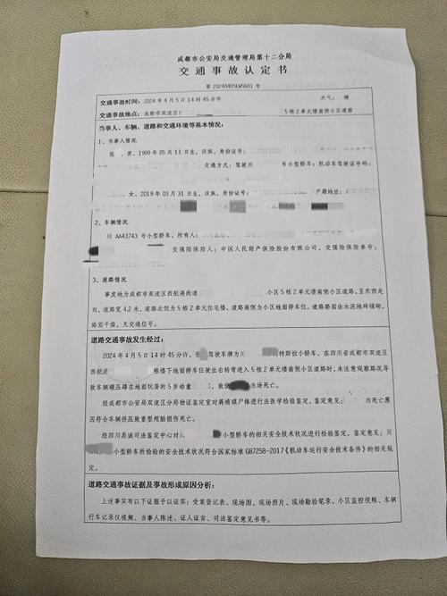 成都特斯拉碾压幼童案二审维持原判