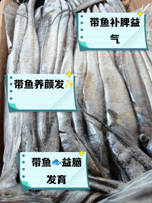 “国民廉价鱼”带鱼原来一直被低估