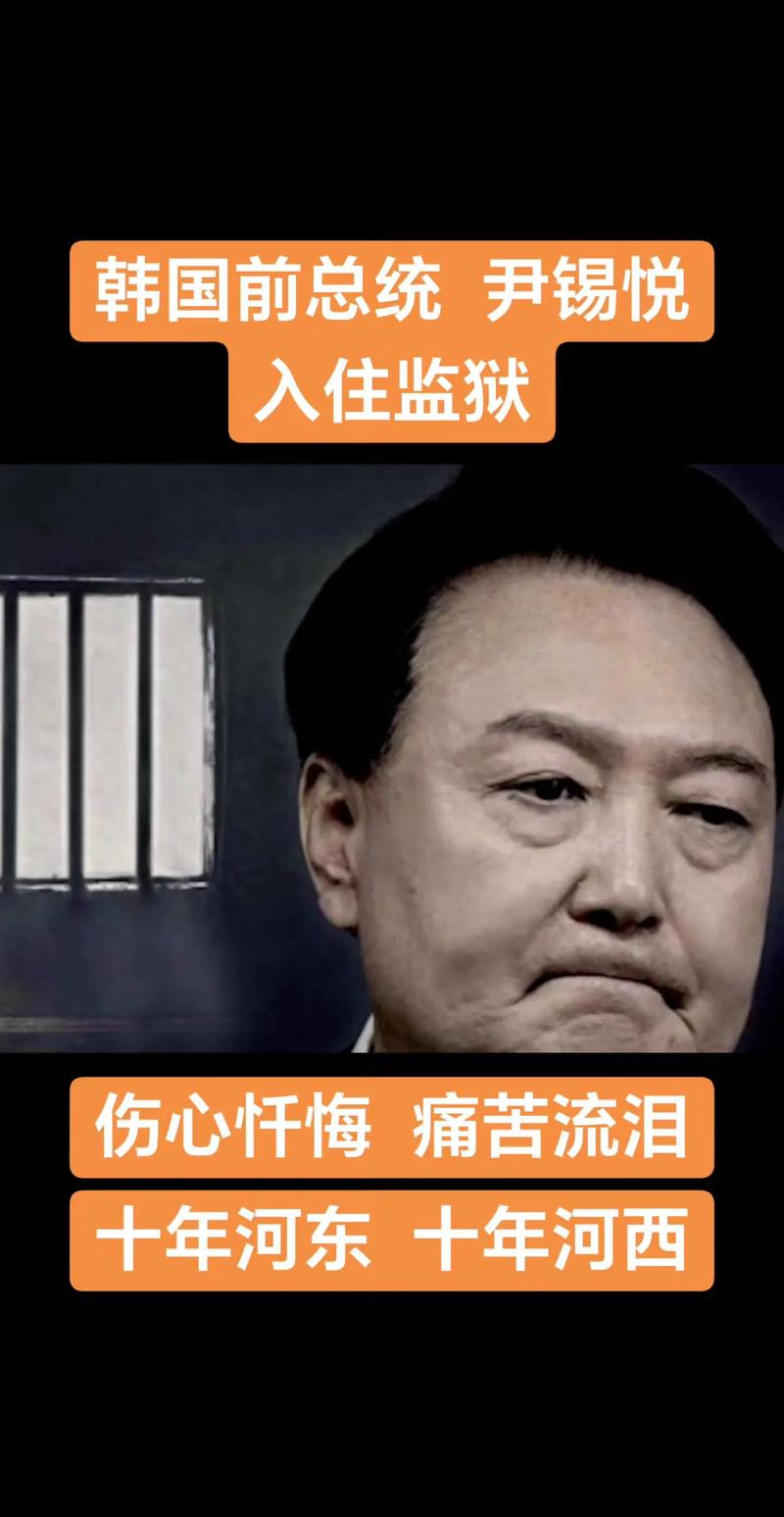尹锡悦自述理由请求保释