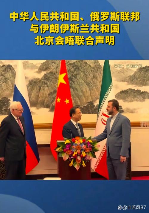 中俄巴伊四国发表《联合声明》