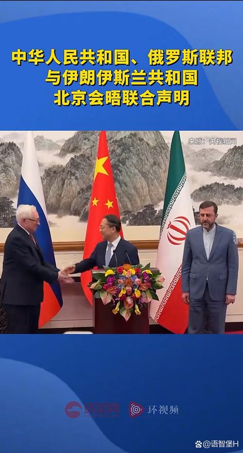 中俄巴伊四国发表《联合声明》