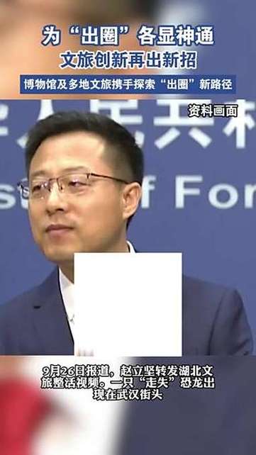 赵立坚点赞湖北文旅花式整活