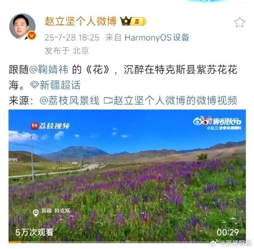 赵立坚点赞湖北文旅花式整活