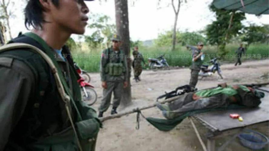 泰国：柬埔寨士兵向泰方开火