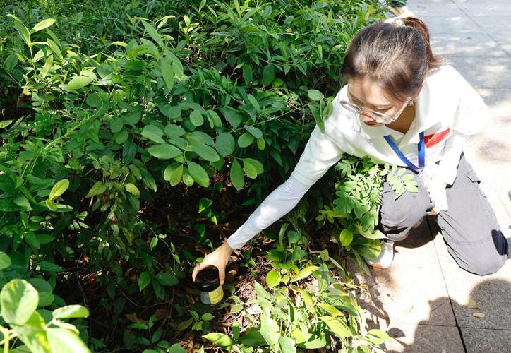 村民不配合灭蚊 扣减30%村集体分红