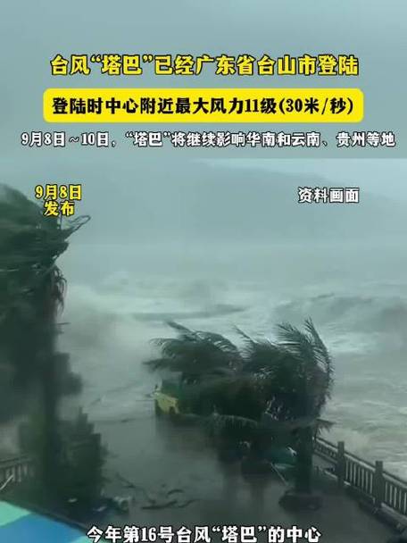 停课！停运！台风“博罗依”要来了