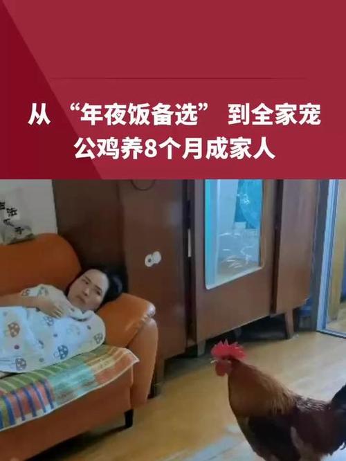 员工请假1天照顾尿毒症母亲被辞退