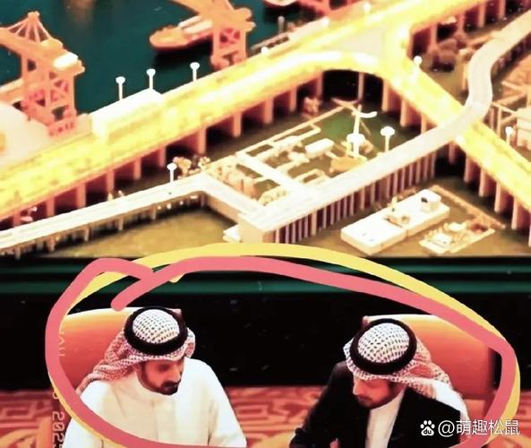 迪拜富豪愿拿金表换萝卜试乘