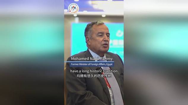 埃及外长:中东正处于崩溃边缘