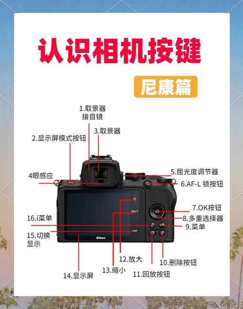 电脑如何照相机