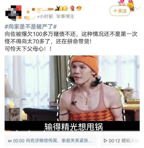 向太回应“向家破产”传闻