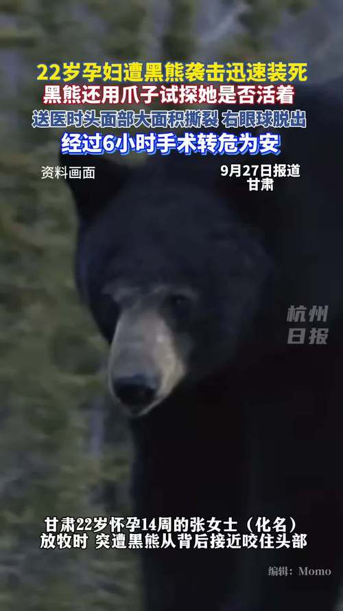 遭熊袭击孕妇发声：想尽全力保住孩子