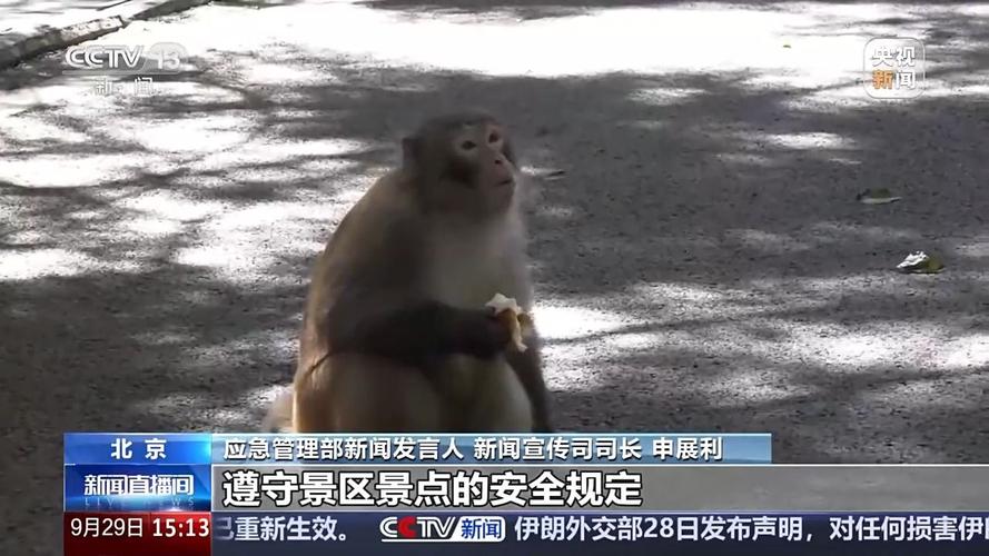 重要提醒：非正规小众秘境去不得