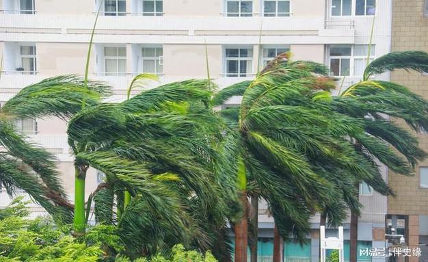 21号台风麦德姆将生成