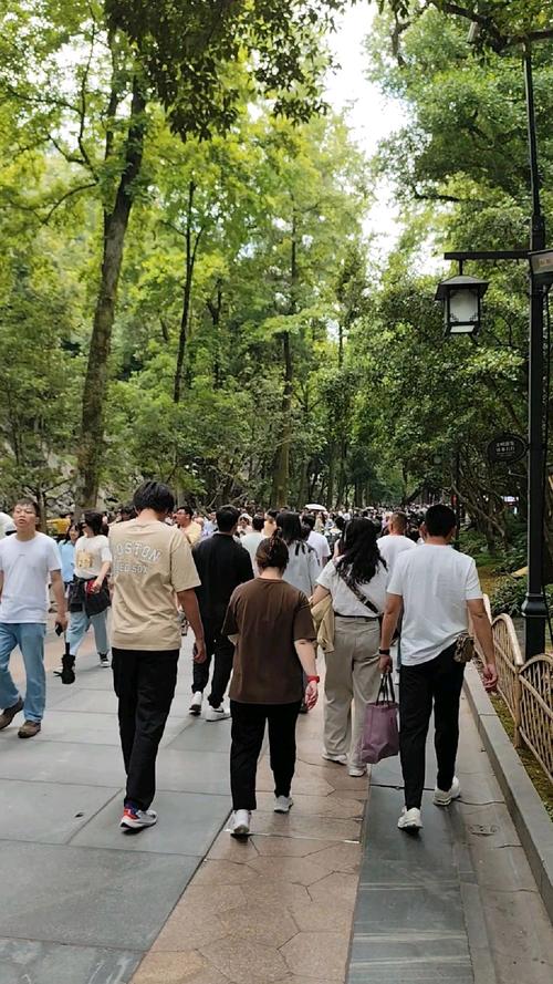 杭州西湖景区熟悉的人潮已出现