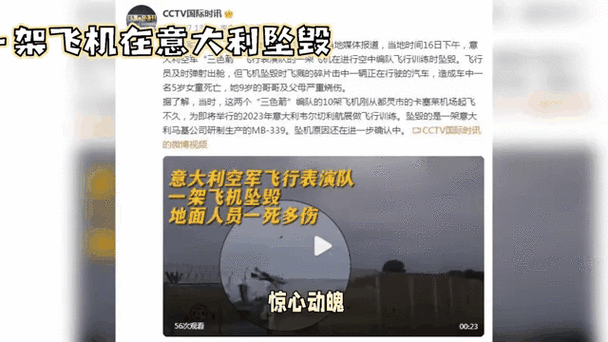 意大利一军用飞机坠毁 机上2人死亡