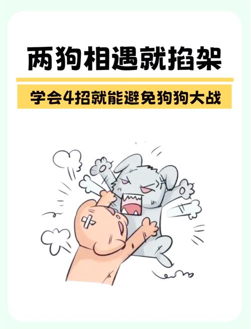 狗子渡海而来只为和另一只狗打架